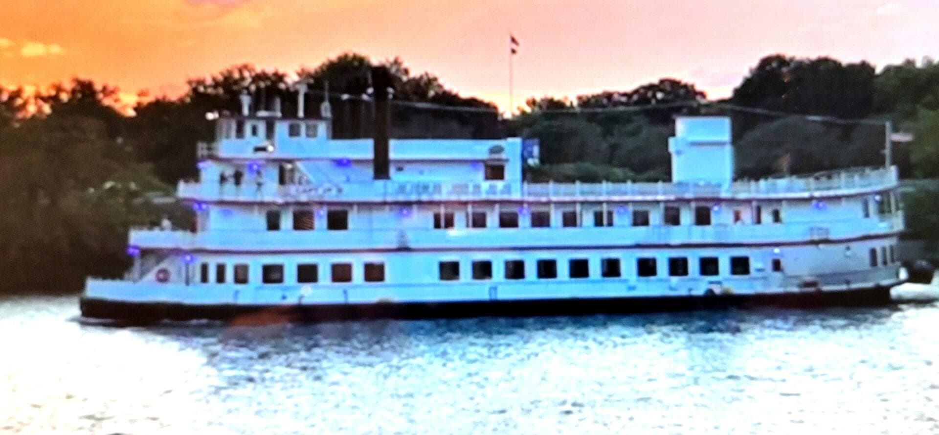 1985 Custom Dinner/excursion/passenger — photo 3