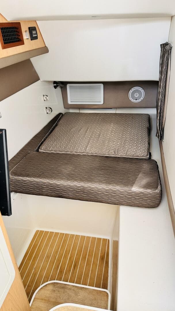 2019 World Cat 320 DC — photo 6