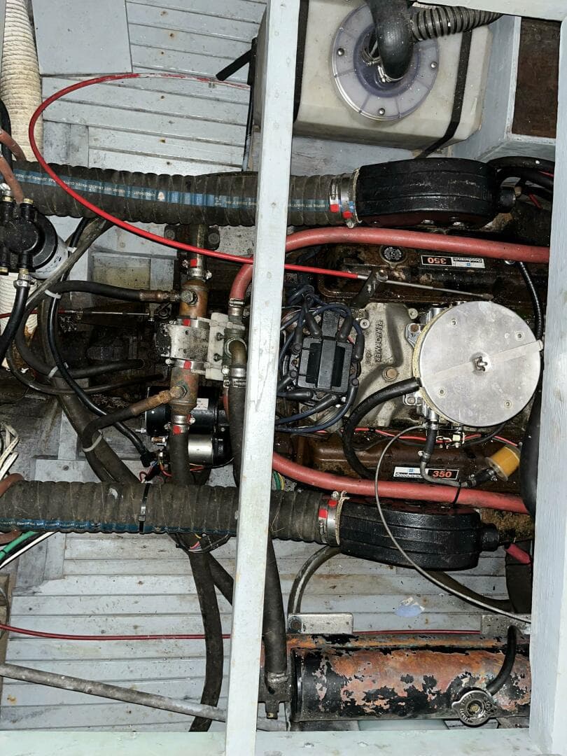 1960 Bunker And Ellis Downeast Bass — photo 12