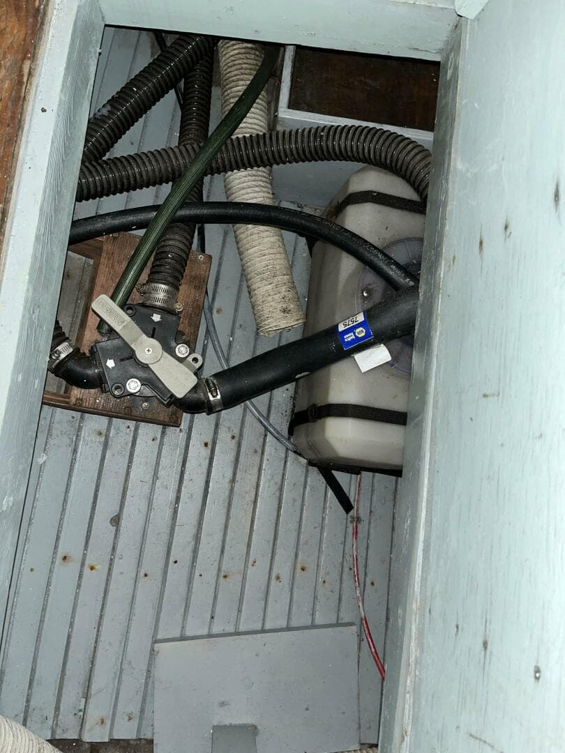 1960 Bunker And Ellis Downeast Bass — photo 13