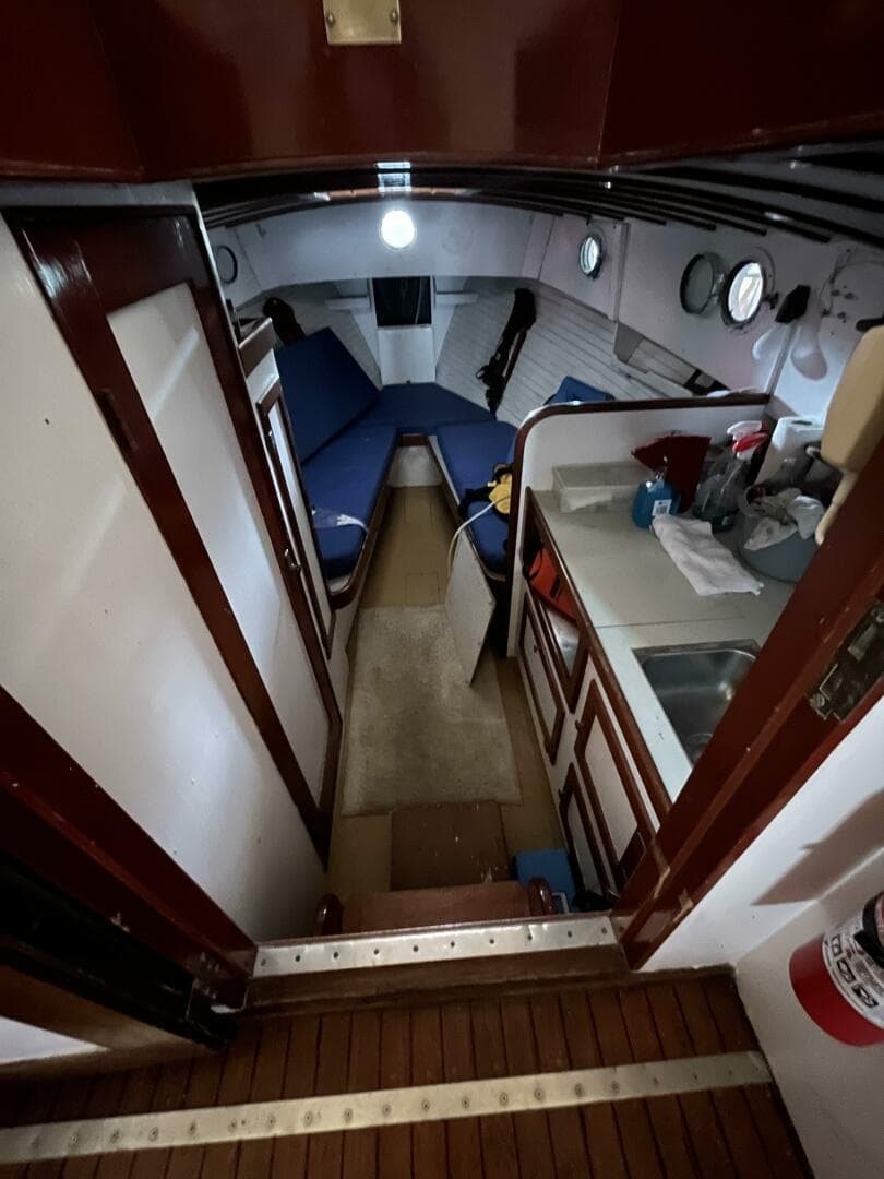 1960 Bunker And Ellis Downeast Bass — photo 15