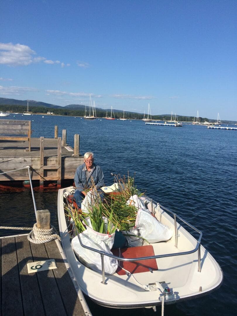 1985 Boston Whaler — photo 1