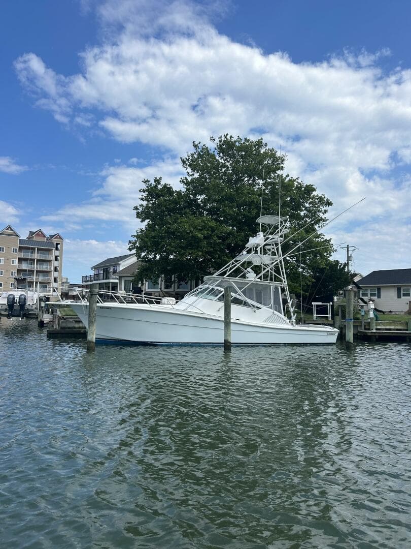 2006 Topaz — photo 1