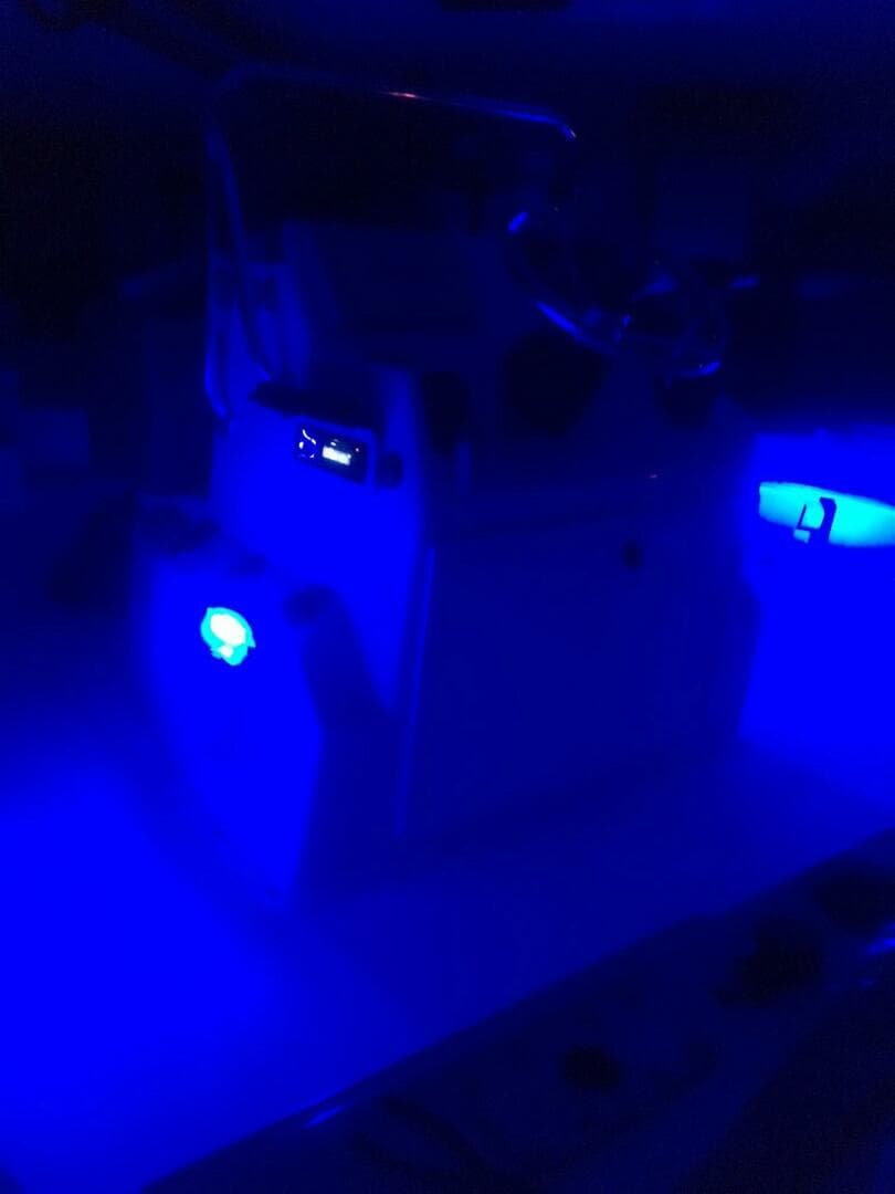 2009 Sailfish Bb Bay — photo 11