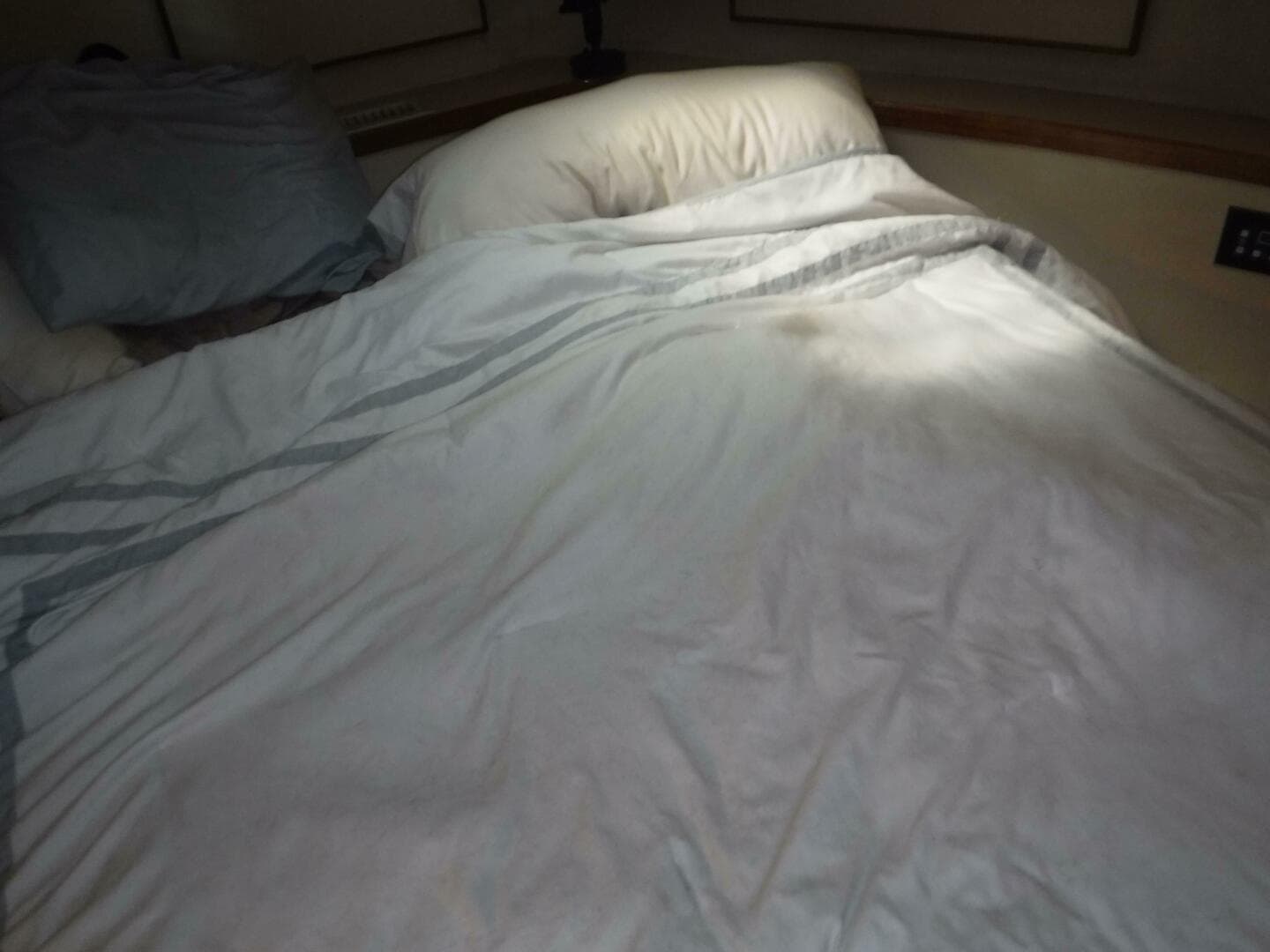 1988 Bertram 47 — photo 25