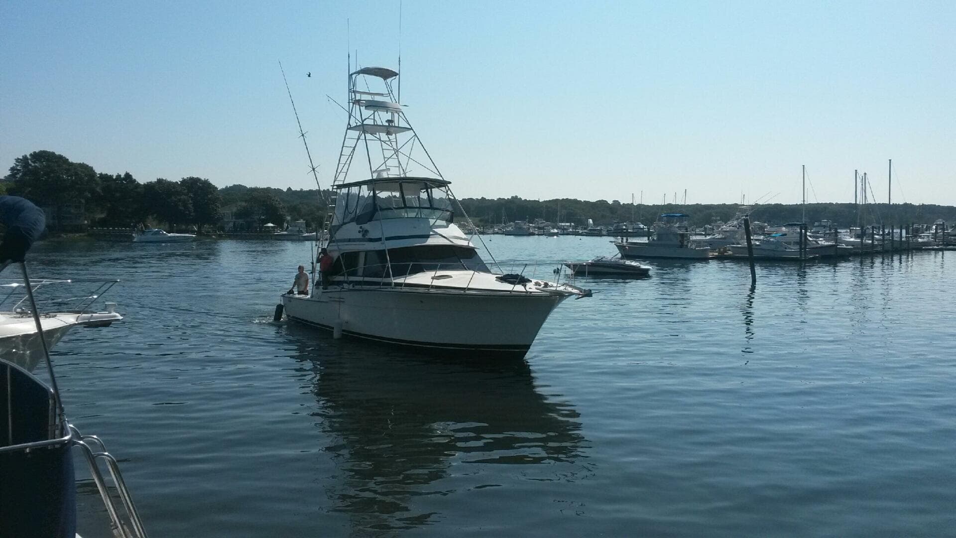 1988 Bertram 47 — photo 1