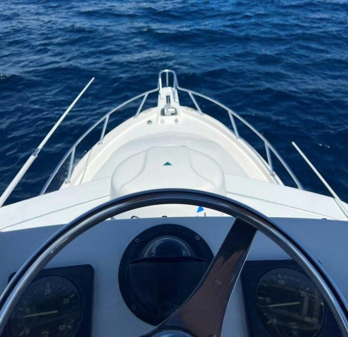 1995 Blackfin Combi 33 — photo 58