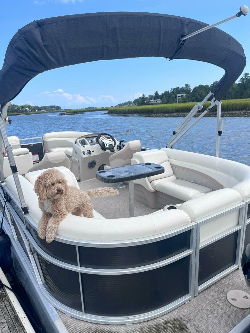 2017 Bennington 22 Ssrx — photo 5