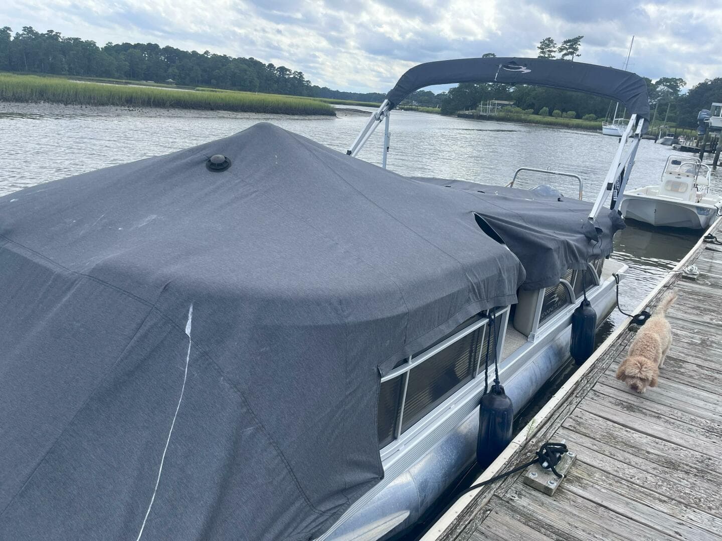 2017 Bennington 22 Ssrx — photo 19