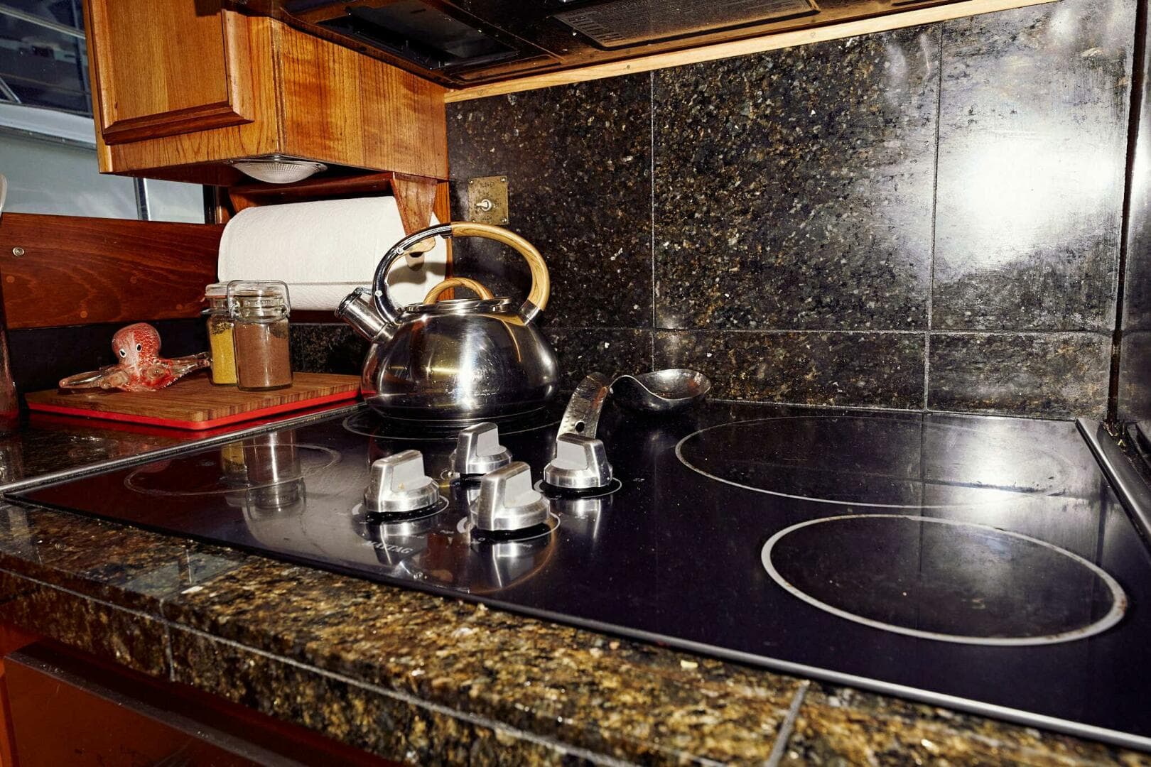 1976 Pacemaker — photo 6