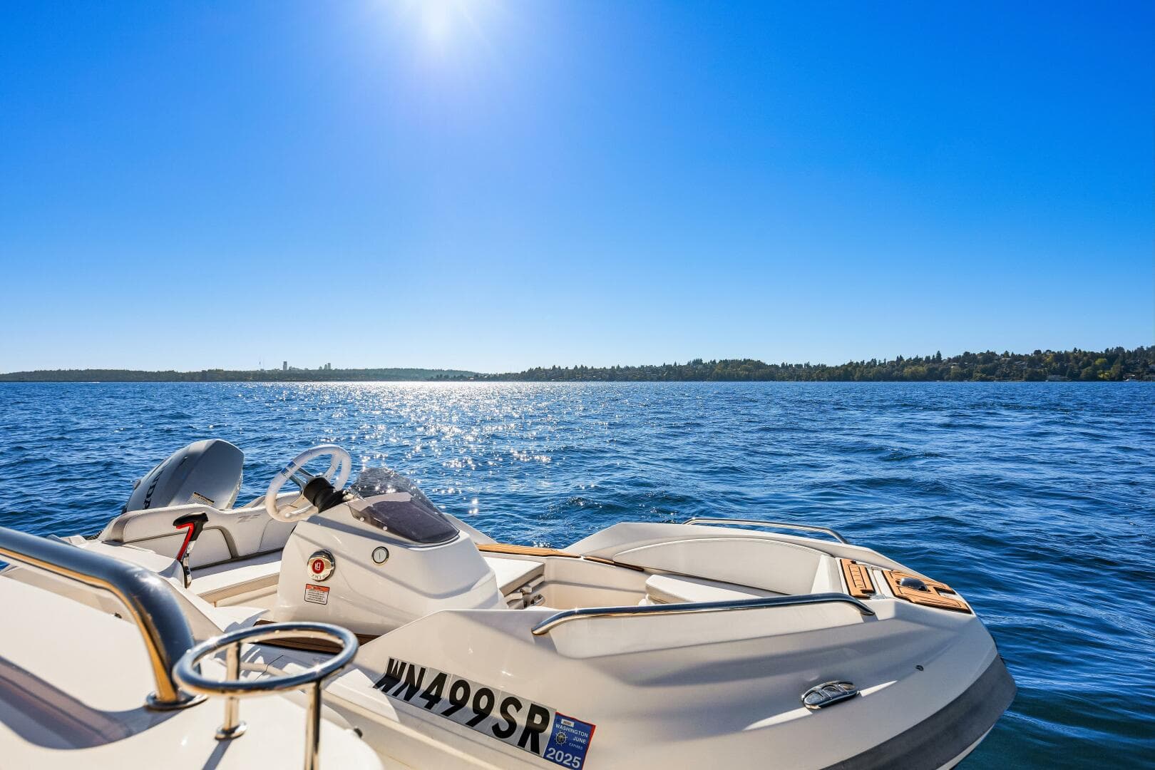 2017 Sea Ray L590 — photo 42