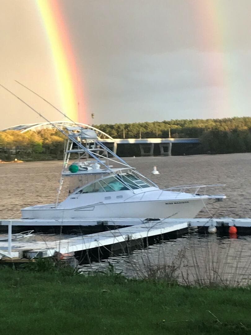 2003 Cabo Express — photo 4