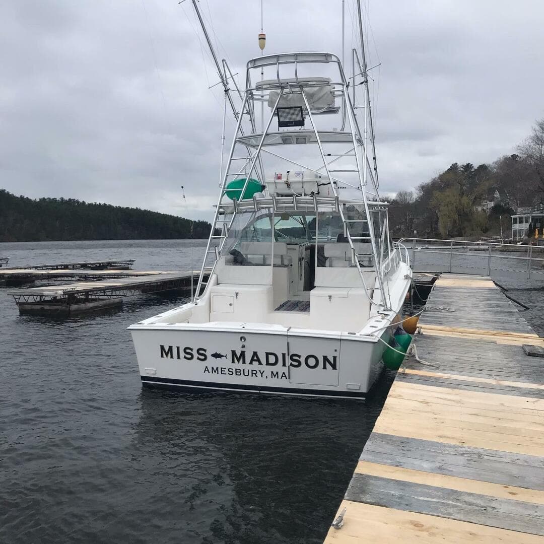 2003 Cabo Express — photo 11