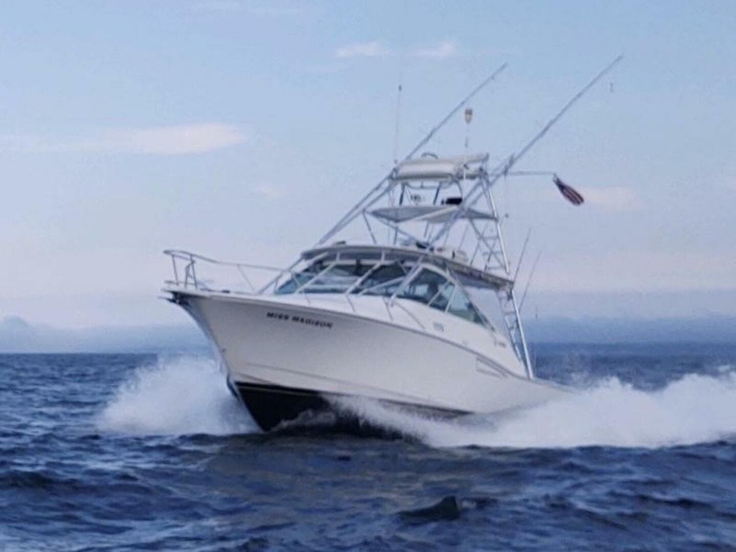 2003 Cabo Express — photo 3