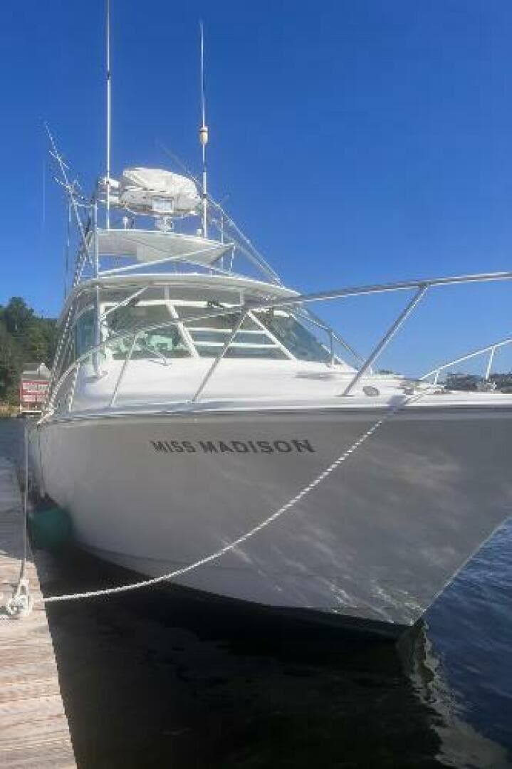 2003 Cabo Express — photo 5