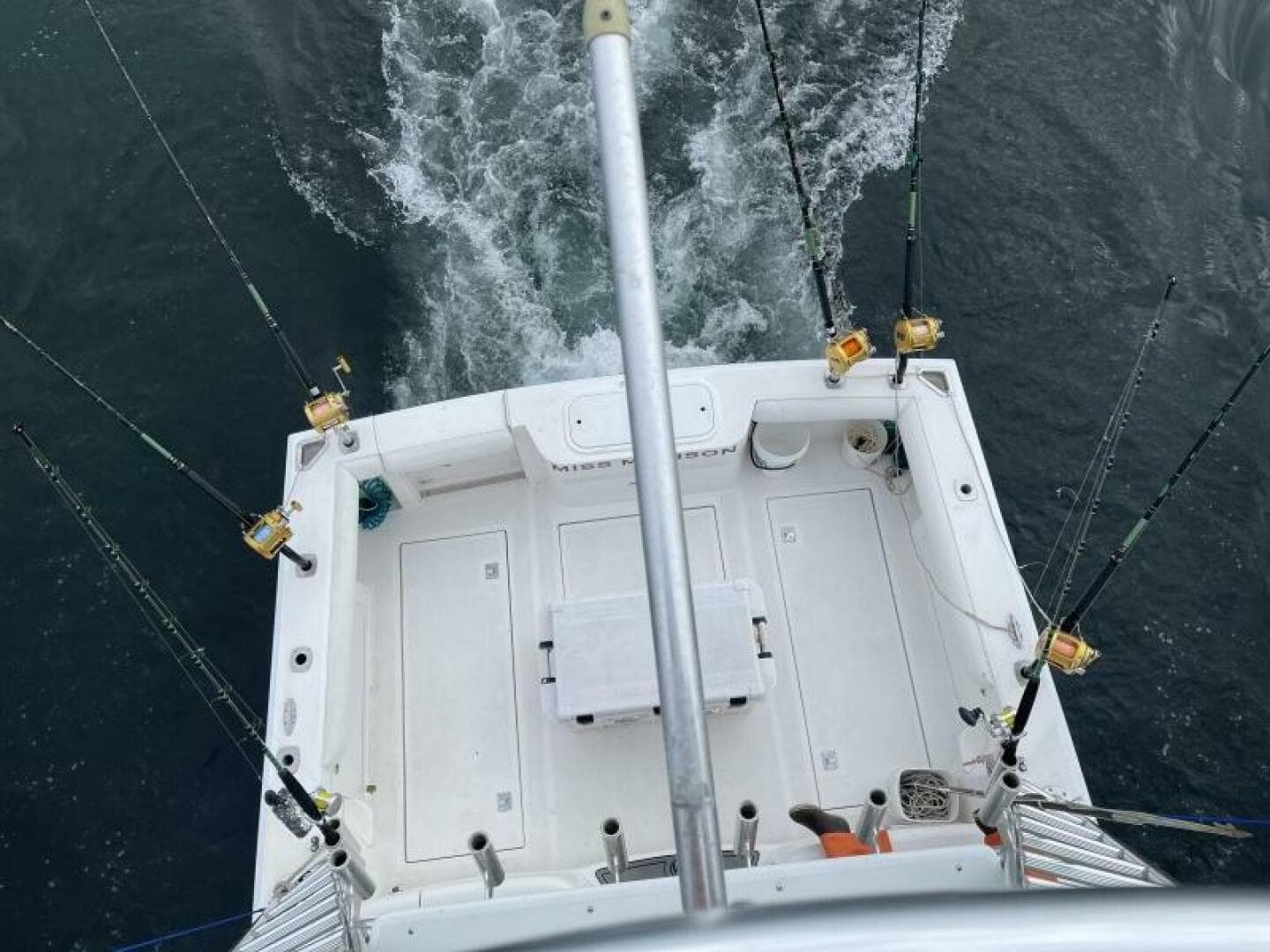 2003 Cabo Express — photo 12