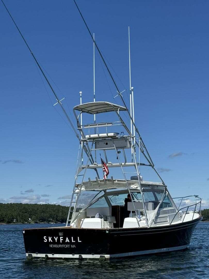 1993 Black Watch 33 — photo 44