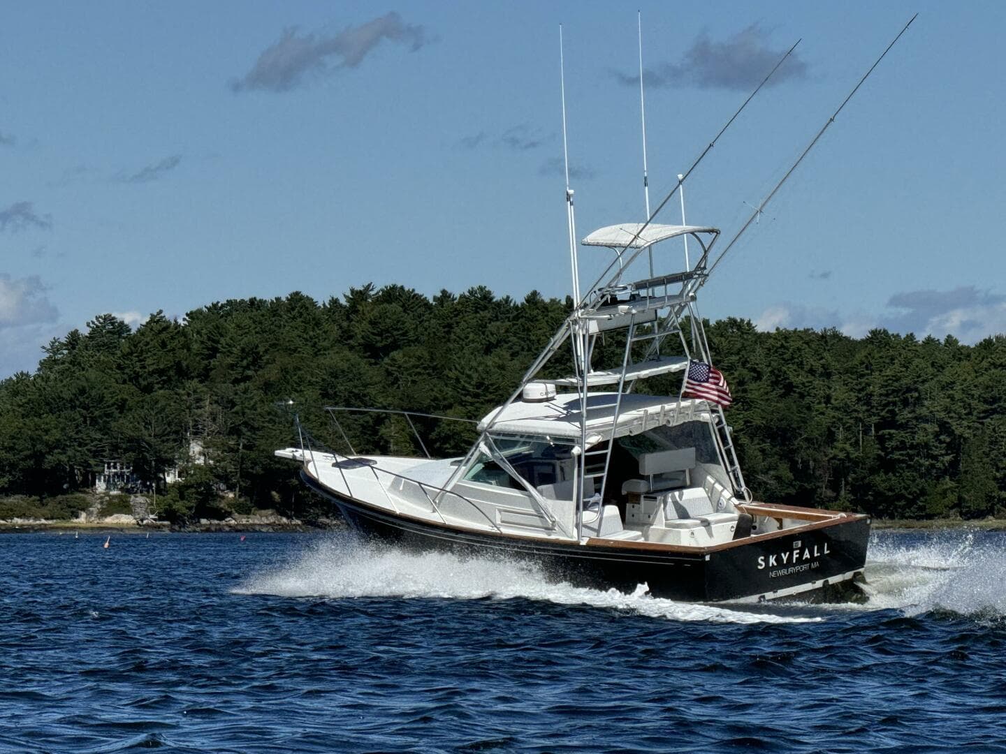 1993 Black Watch 33 — photo 2