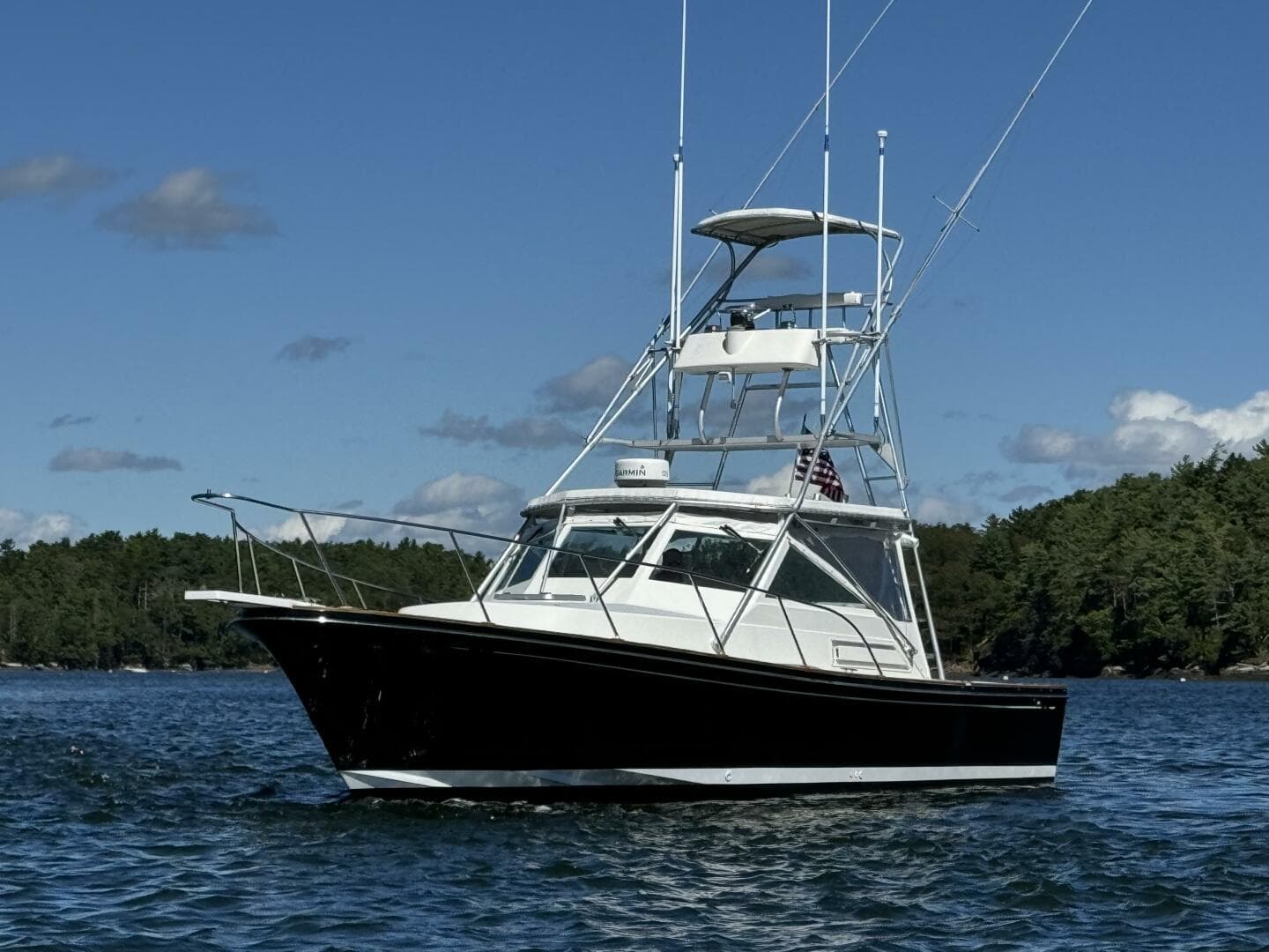 1993 Black Watch 33 — photo 3