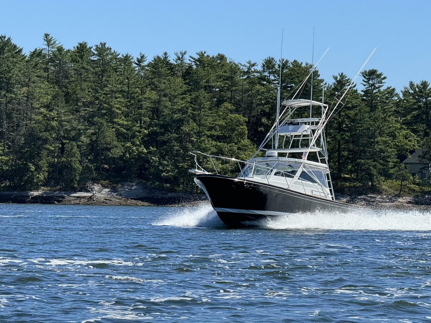 1993 Black Watch 33 — photo 4