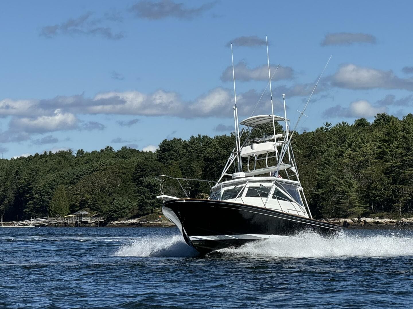 1993 Black Watch 33 — photo 1