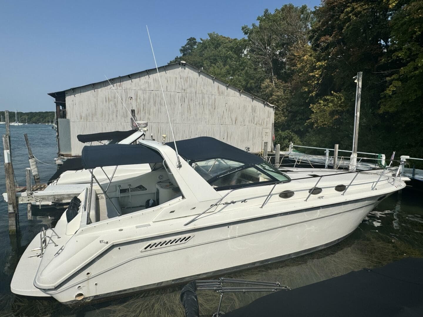 1995 Sea Ray Express Cruiser — photo 1