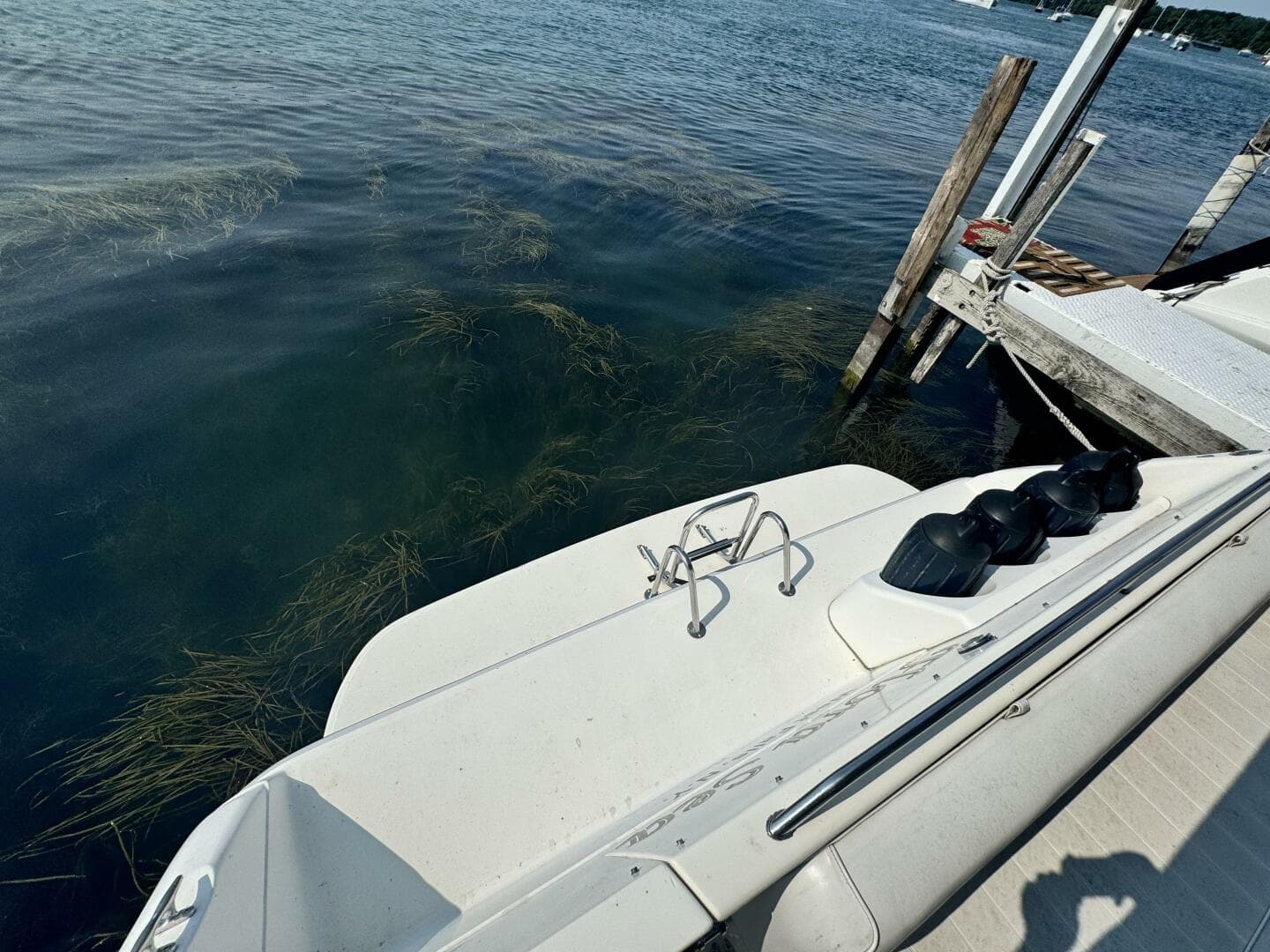 1995 Sea Ray Express Cruiser — photo 8