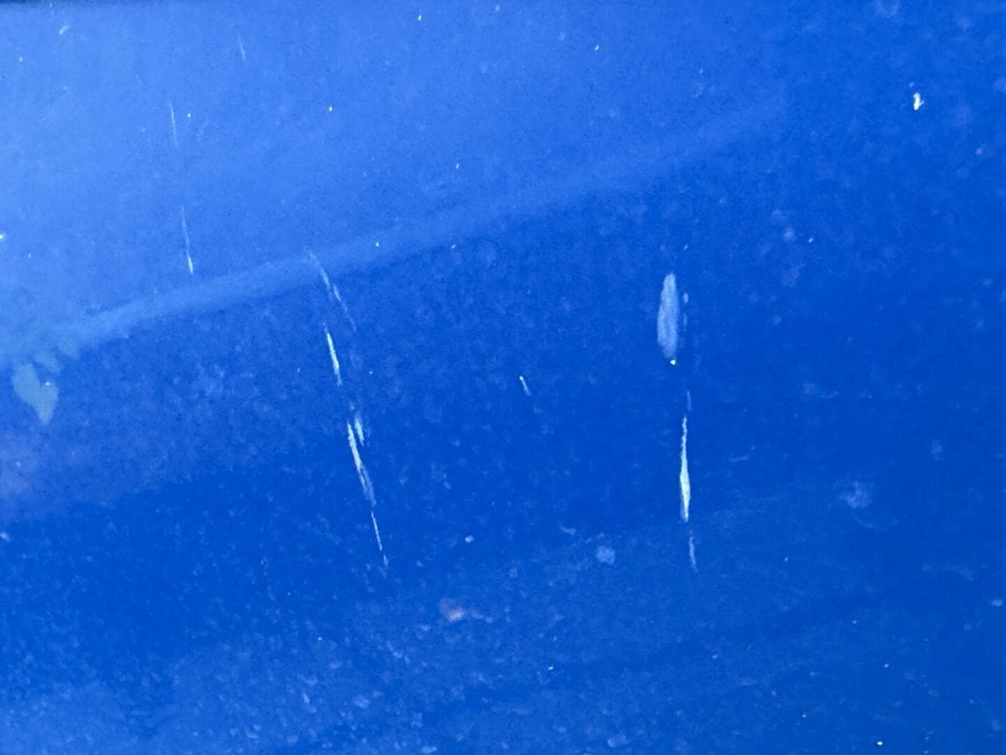 2006 Regal 3360 Window Express — photo 122