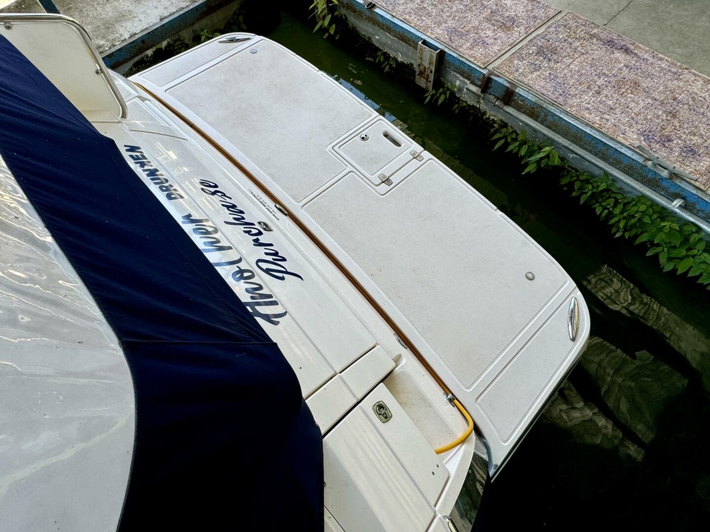 2006 Regal 3360 Window Express — photo 93