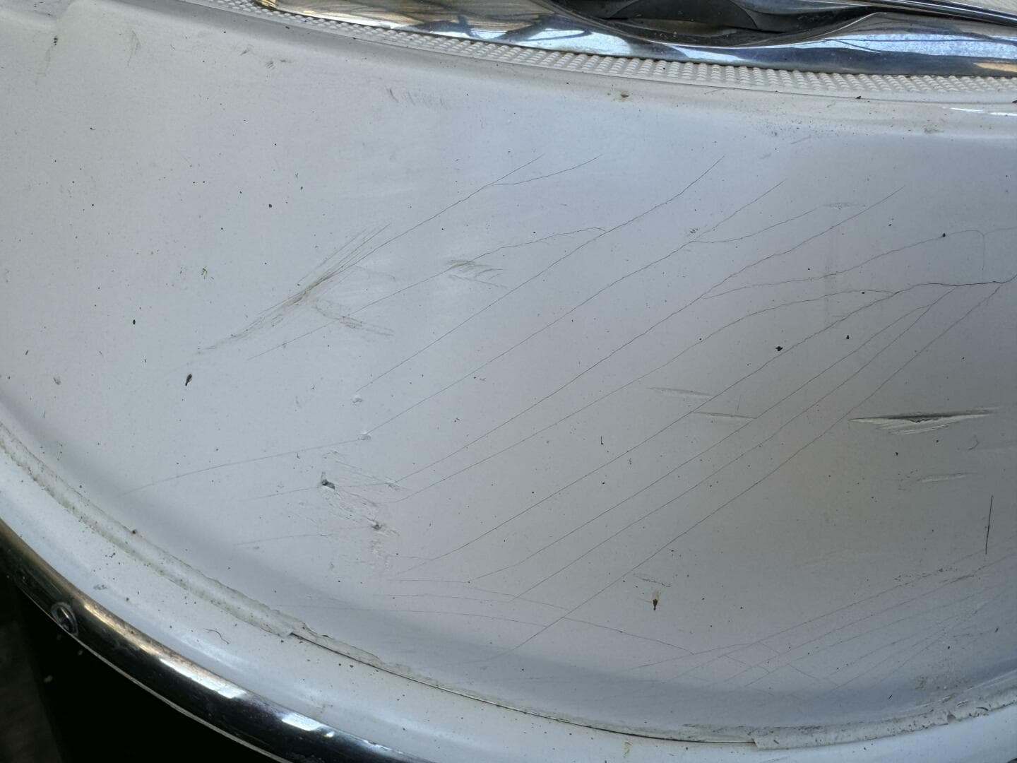 2006 Regal 3360 Window Express — photo 149