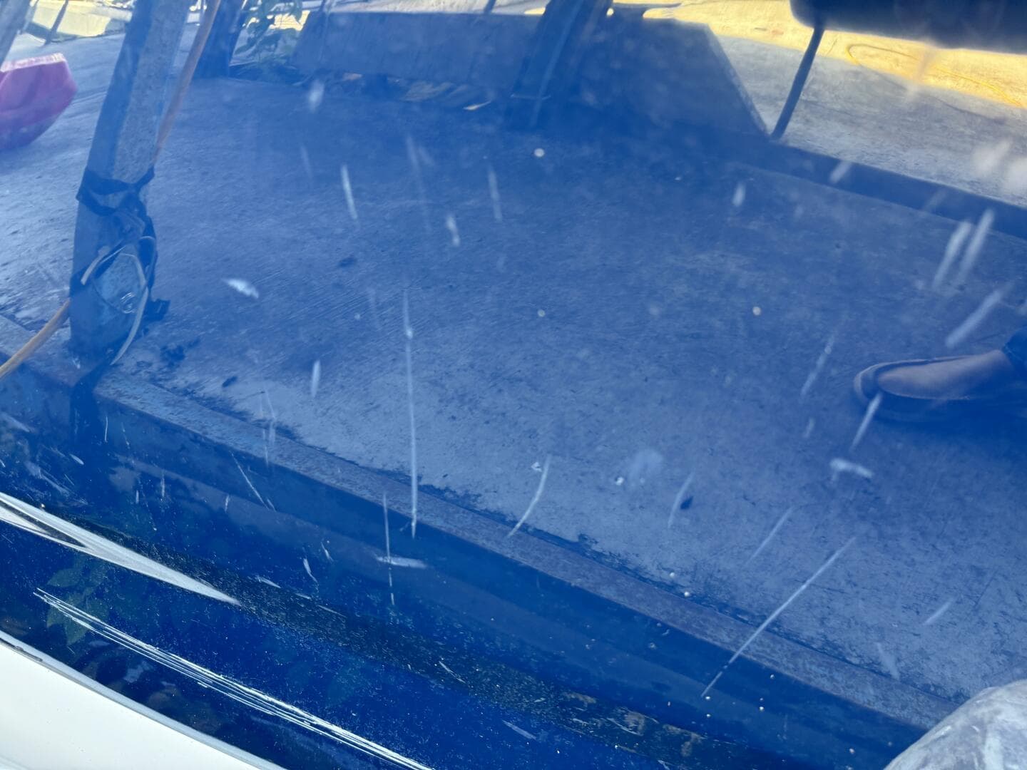 2006 Regal 3360 Window Express — photo 139