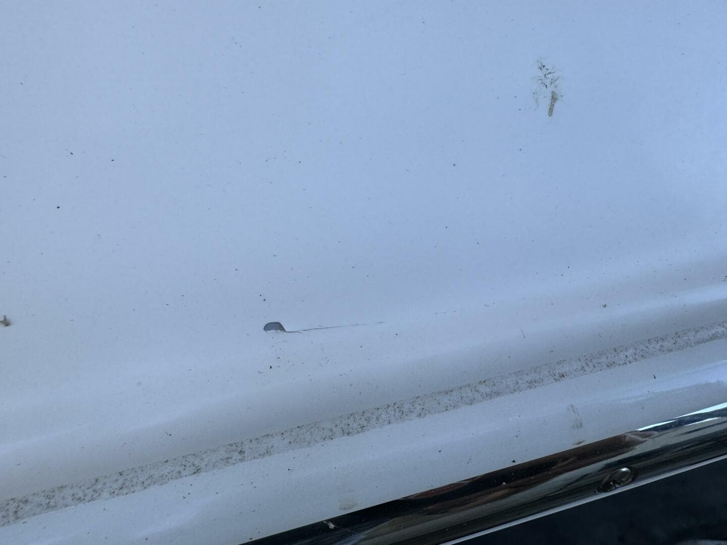 2006 Regal 3360 Window Express — photo 129