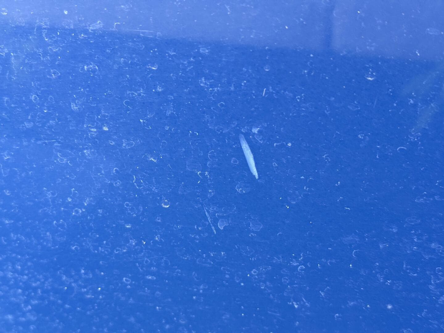 2006 Regal 3360 Window Express — photo 114