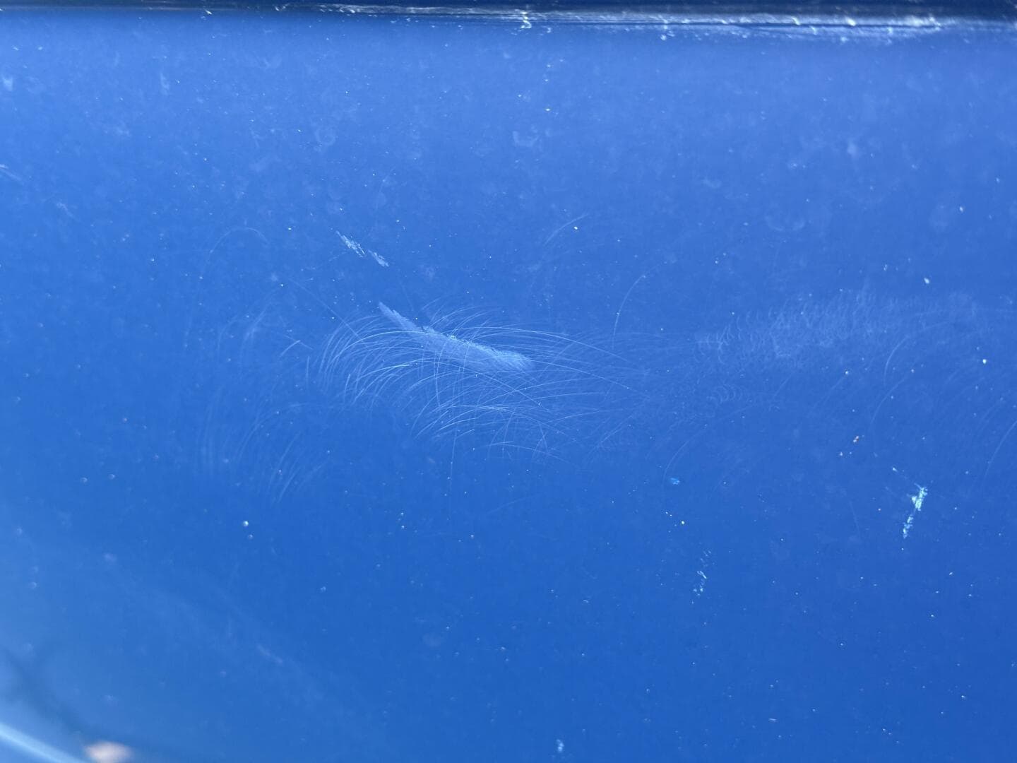 2006 Regal 3360 Window Express — photo 116