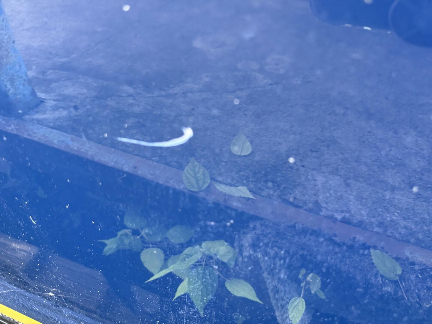 2006 Regal 3360 Window Express — photo 132