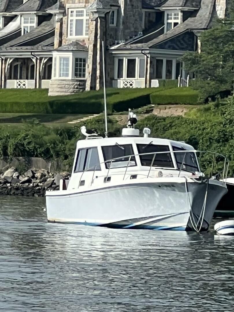 1991 Black Watch 36 Express — photo 7