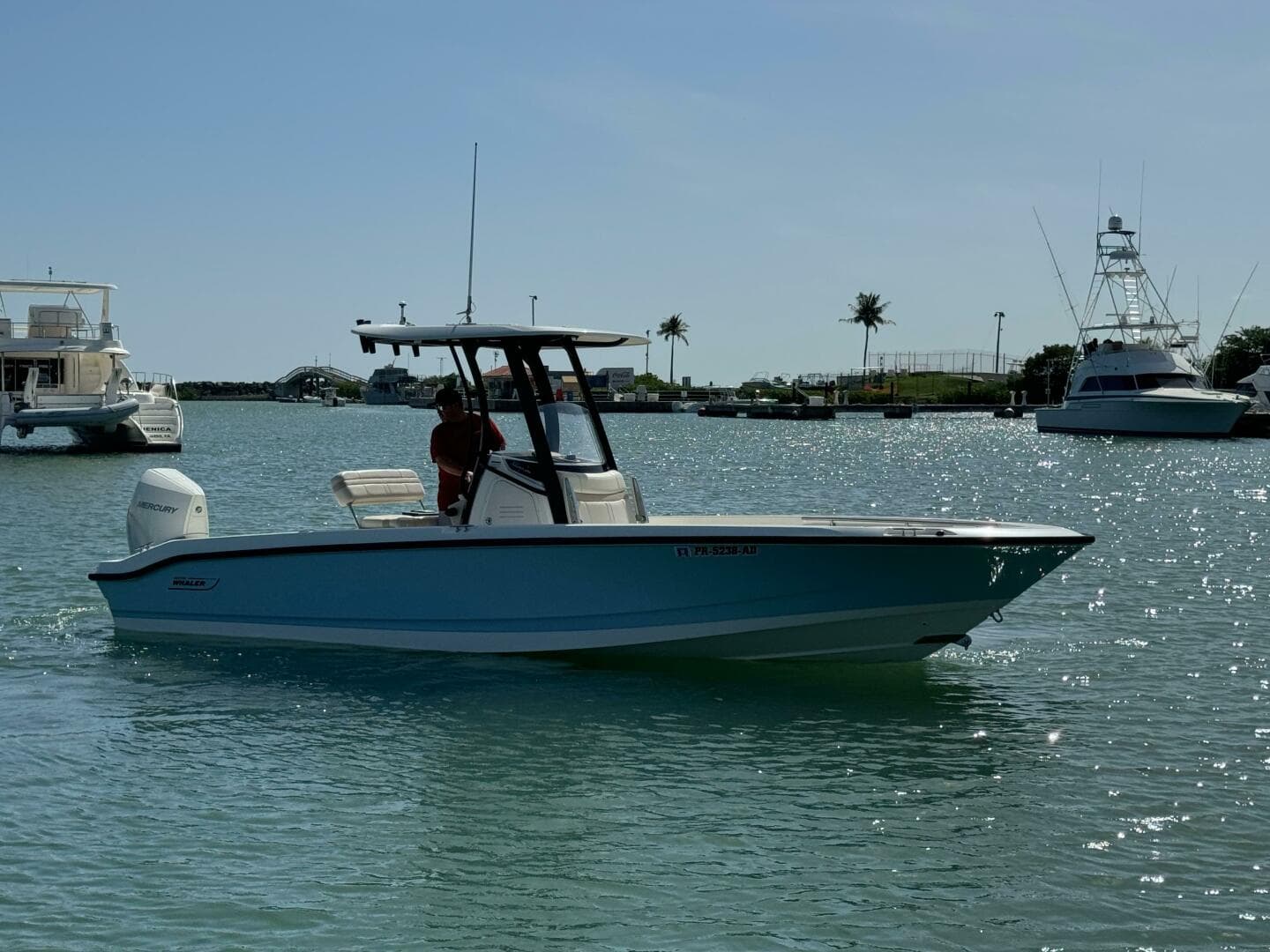 2022 Boston Whaler 250 Dauntless — photo 7