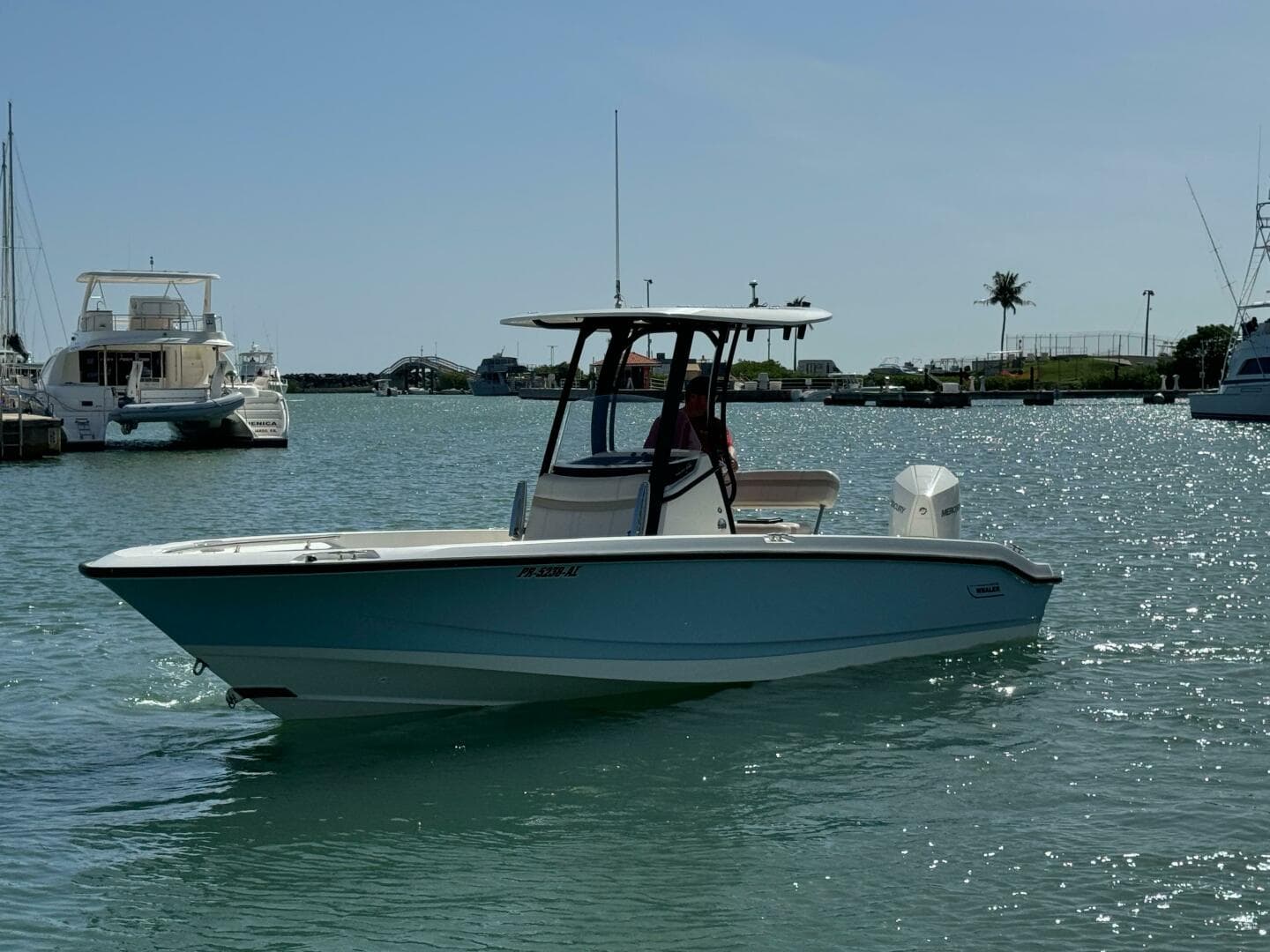 2022 Boston Whaler 250 Dauntless — photo 10
