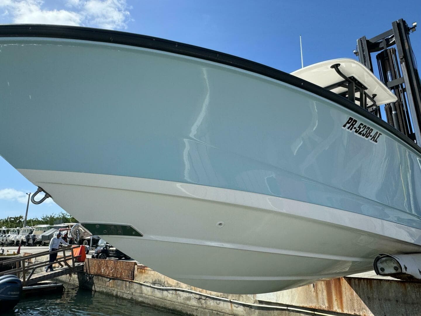 2022 Boston Whaler 250 Dauntless — photo 4