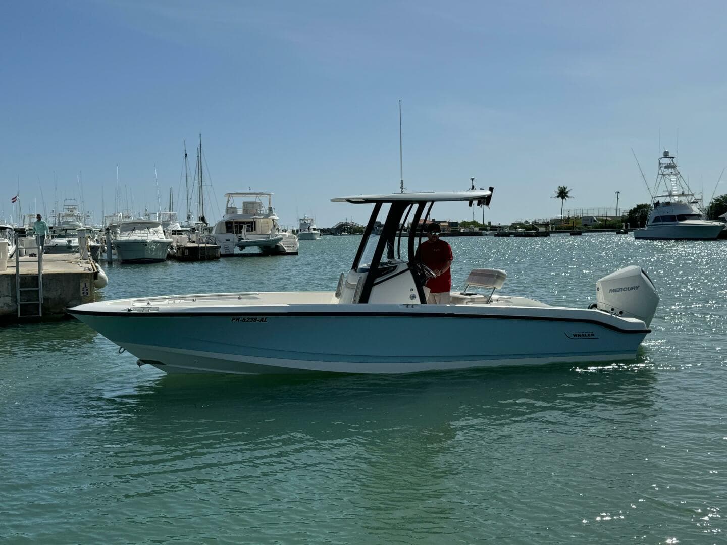 2022 Boston Whaler 250 Dauntless — photo 12