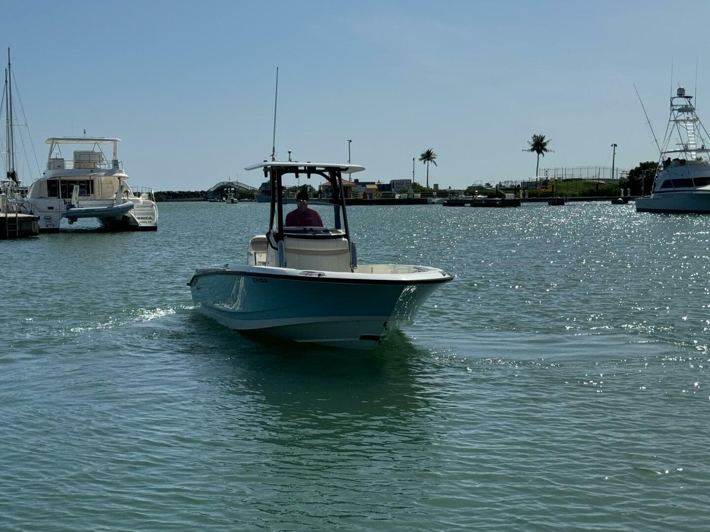 2022 Boston Whaler 250 Dauntless — photo 8