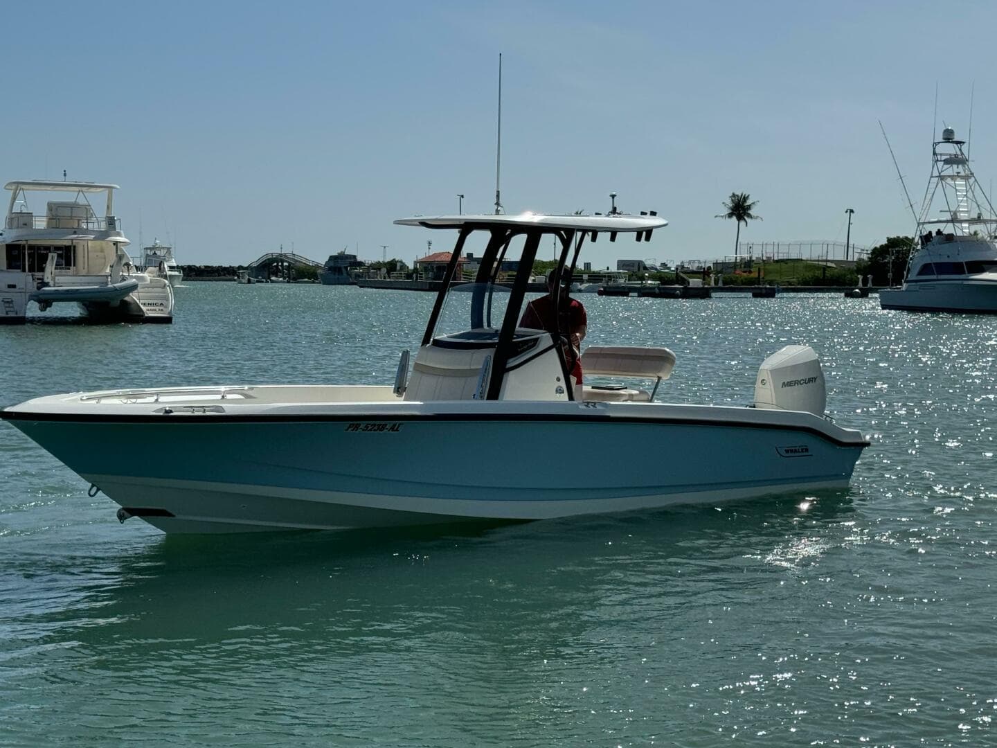 2022 Boston Whaler 250 Dauntless — photo 11