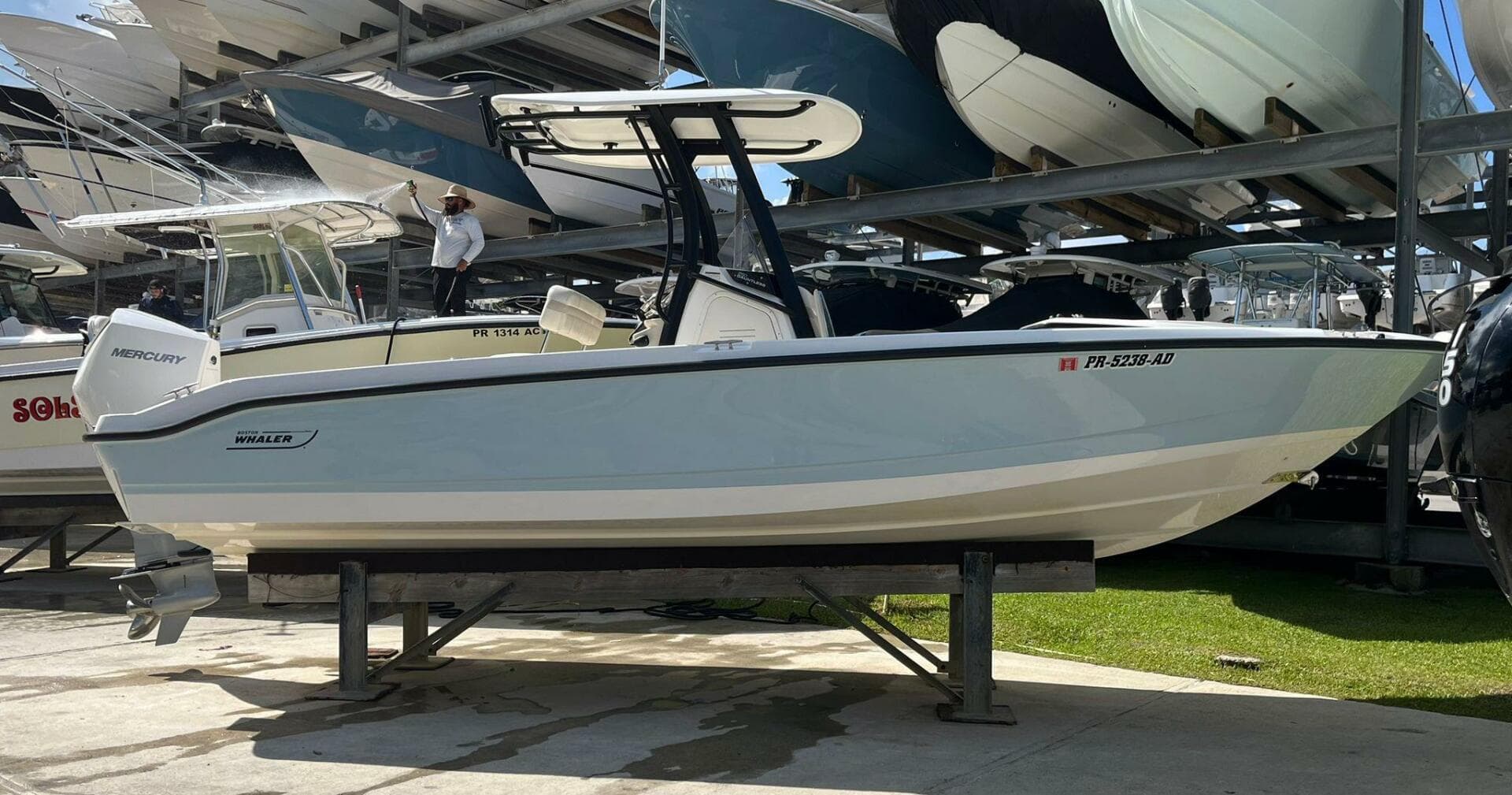2022 Boston Whaler 250 Dauntless — photo 1