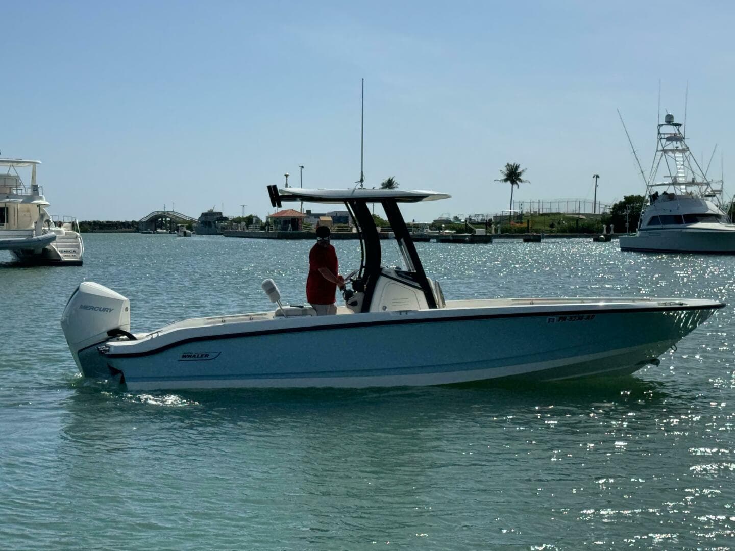 2022 Boston Whaler 250 Dauntless — photo 6