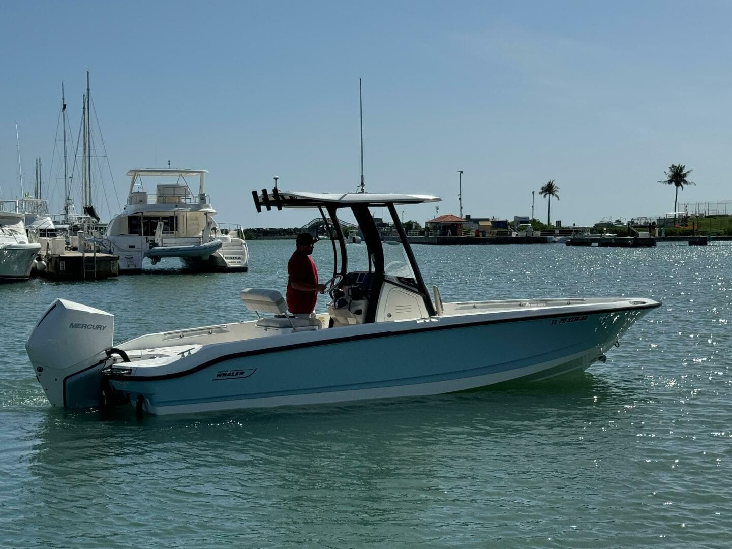 2022 Boston Whaler 250 Dauntless — photo 5