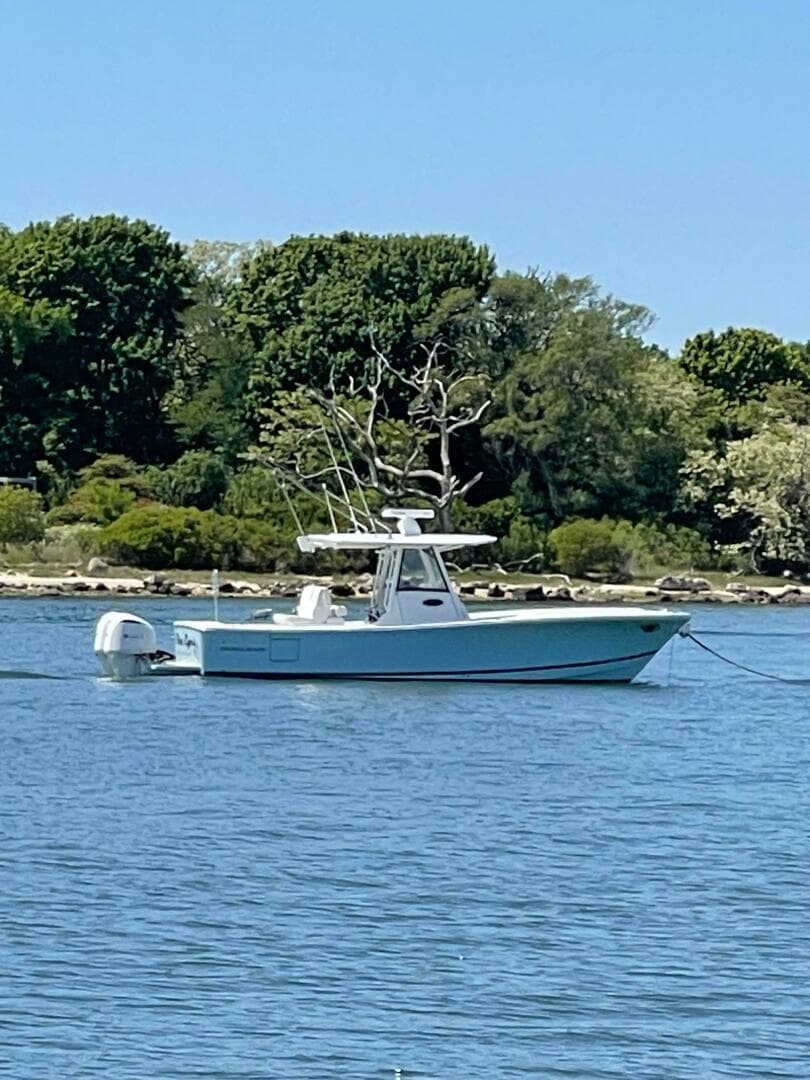 2020 Regulator 31 FS With Mezz — photo 9