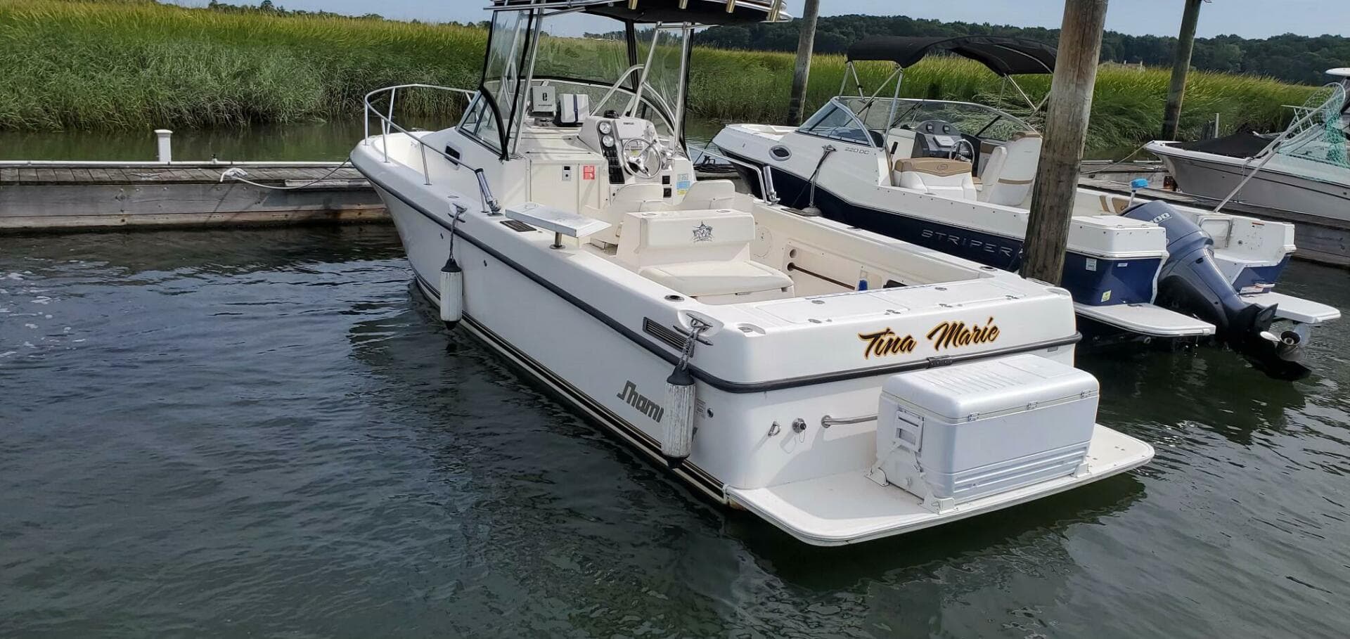 2005 Shamrock 246 Adventure — photo 5