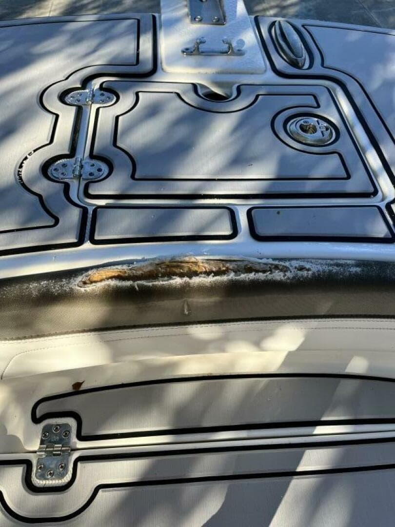 2019 World Cat 230 CC — photo 84