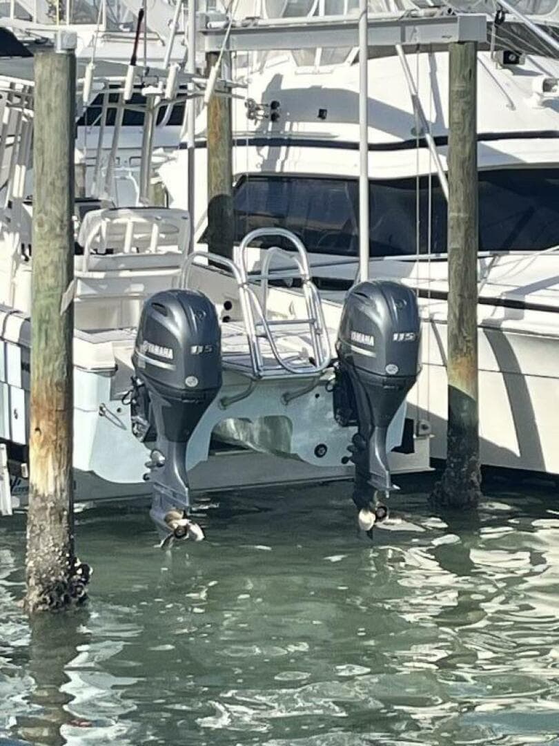 2019 World Cat 230 CC — photo 59