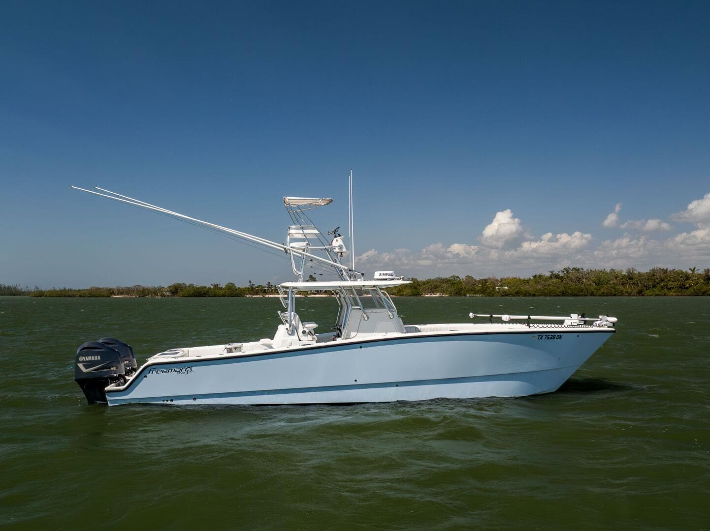 2016 Freeman — photo 8